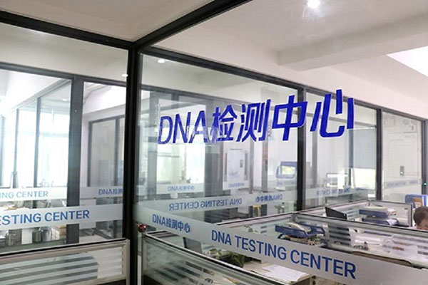 威海DNA鉴定何时能更早进行？ 